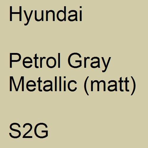 Hyundai, Petrol Gray Metallic (matt), S2G.